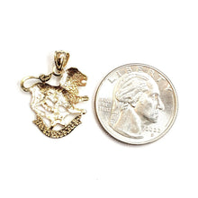 Load image into Gallery viewer, 14k yellow Gold lion Leo zodiac sign astrology Pendant charm fine jewelry 2g
