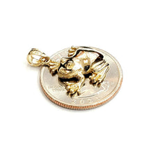 Load image into Gallery viewer, New 14k yellow gold frog pendant charm shiny gift unisex fine jewelry 2.9g

