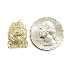 Load image into Gallery viewer, 14k yellow Gold Aquarius zodiac sign astrology Pendant charm fine jewelry 1.4g
