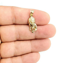 Load image into Gallery viewer, 10k yellow Gold lion full body Leo zodiac Pendant charm gift fine jewelry 1.7g
