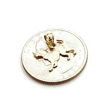 Load image into Gallery viewer, 14k yellow Gold tiny dog full body Pendant charm fine jewelry gift pet 0.6g
