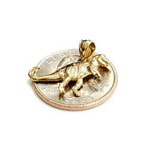 Load image into Gallery viewer, 14k yellow Gold Dinosaur Full body animal Jurassic Pendant charm jewelry 1.4g

