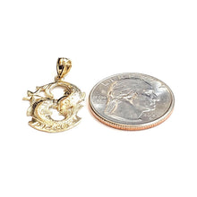 Load image into Gallery viewer, New 14k yellow Gold Pisces fish zodiac sign Pendant astrology fine jewelry 1.9g
