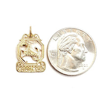 Load image into Gallery viewer, 14k yellow Gold Capricorn zodiac sign astrology Pendant charm fine jewelry 1.2g
