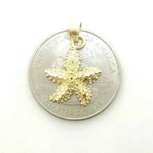 Load image into Gallery viewer, 14k yellow Gold starfish Pendant charm Fine Jewelry Gifts For Women For Her 1.5g
